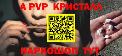 индика Можга