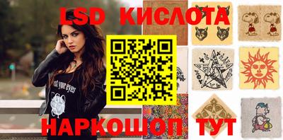 индика Можга