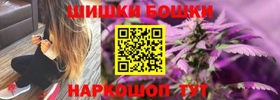 индика Можга