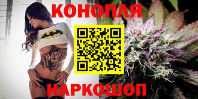 индика Можга