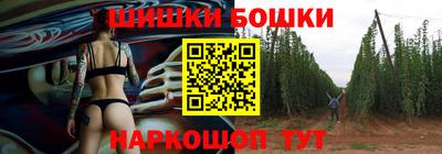 индика Можга