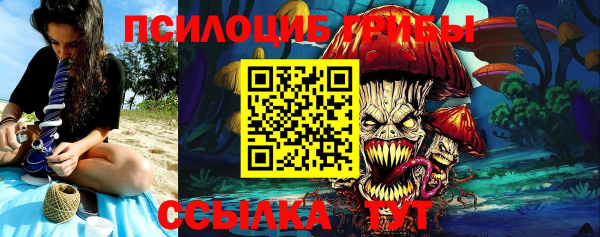 Псилоцибиновые грибы прущие грибы Владимир