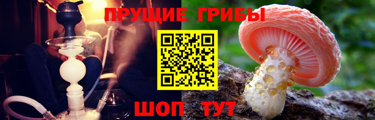 Галлюциногенные грибы ЛСД  Владимир  Галлюциногенные грибы прущие грибы 