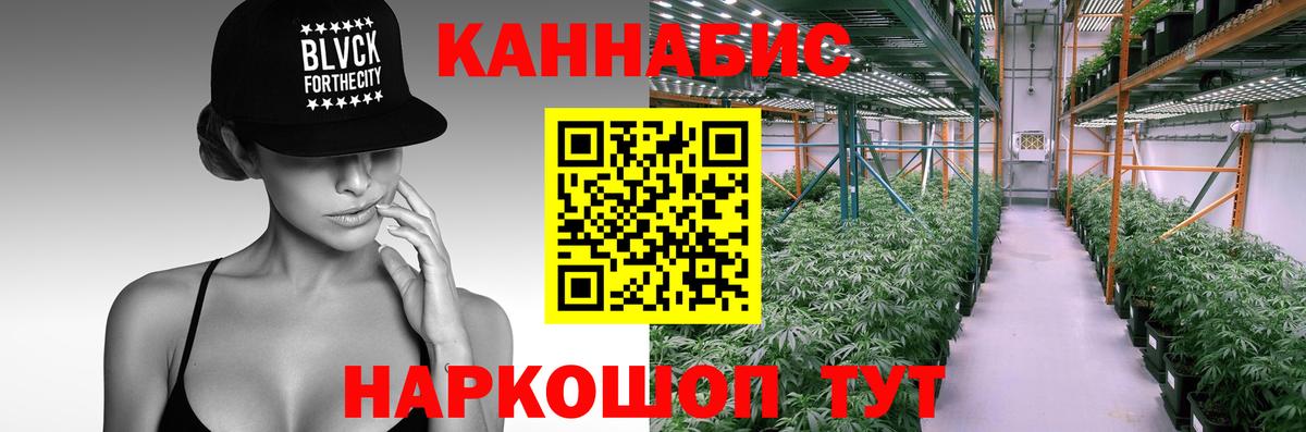 Каннабис SATIVA & INDICA Владимир